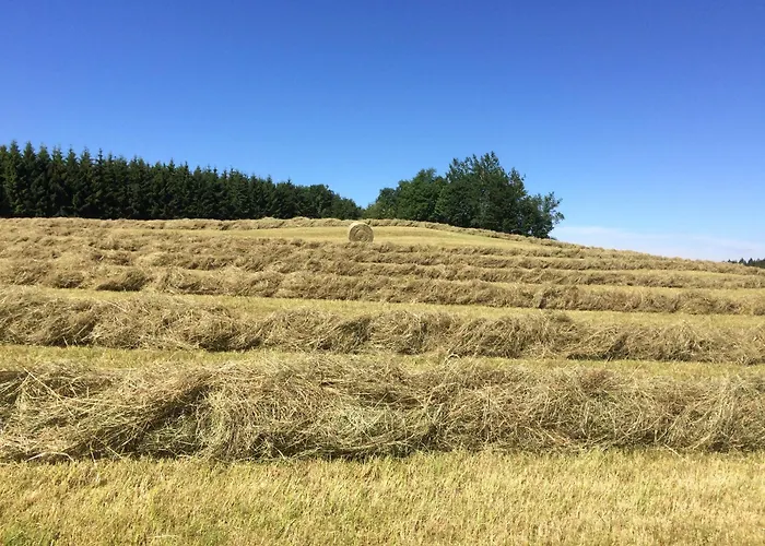 Big Sky Ranch * Liebenau (Upper Austria)